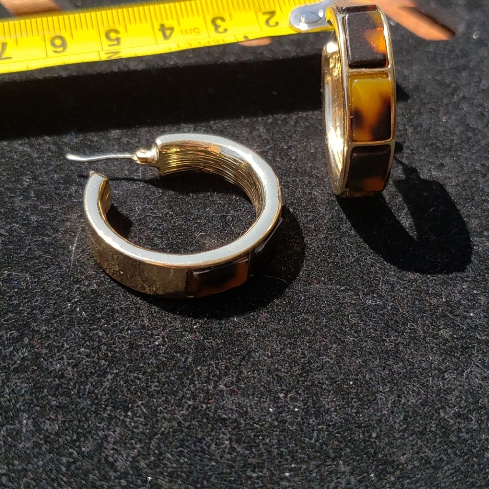 Hoop Earrings